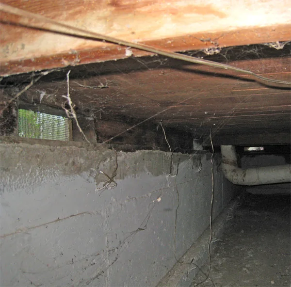 Crawlspace Water Removal in an Atlanta home