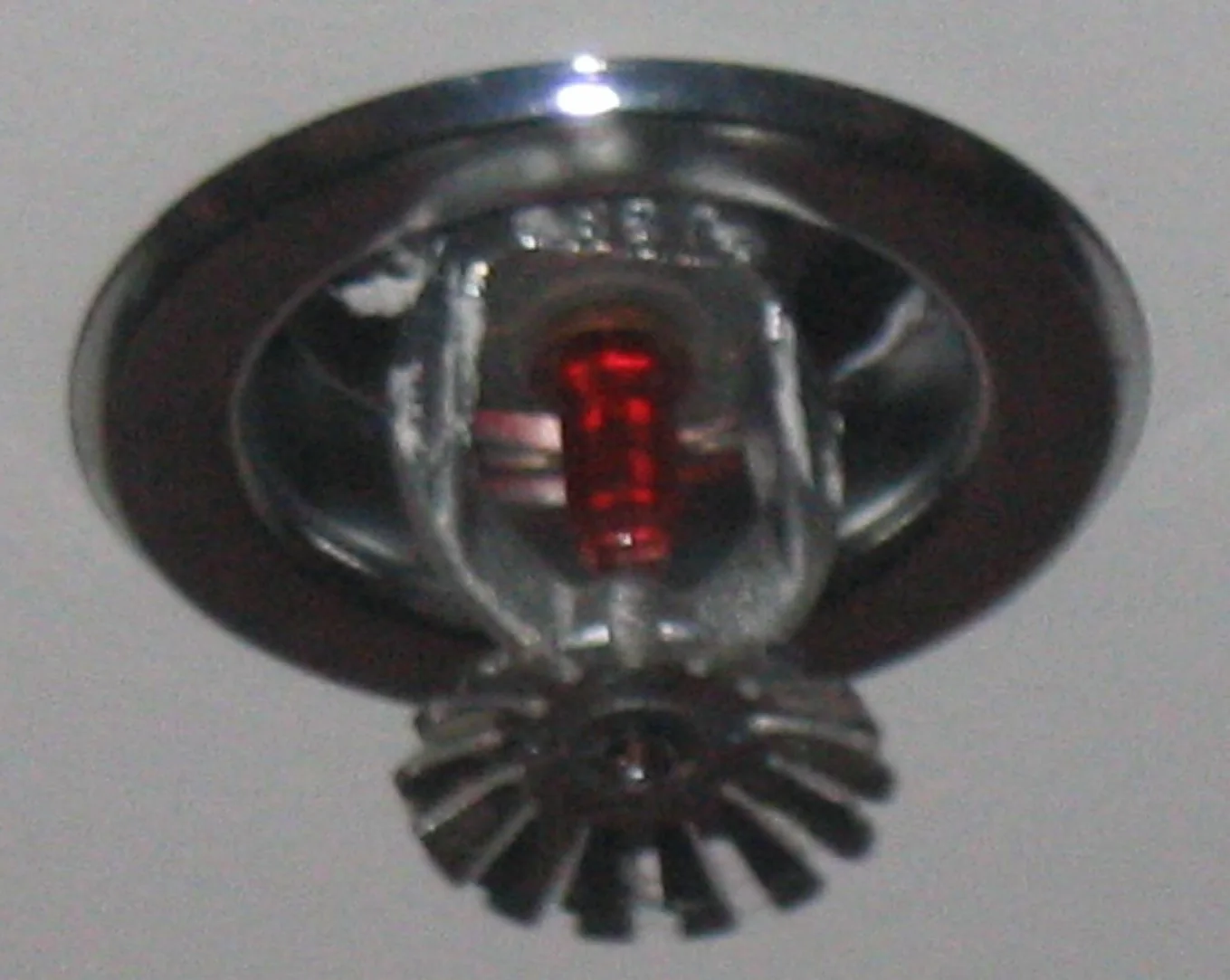 Fire Sprinkler Discharge in an Atlanta home