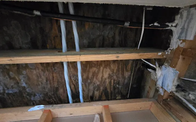 Roof Leak Water Damage in Atlanta, GA