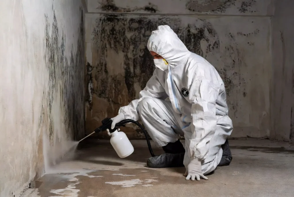 Mold Remediation & Decontamination